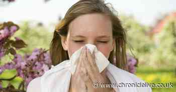 Dr Hilary's covid-19 advice for hayfever sufferers who use antihistamines