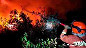 19 killed in forest fire in China, according to state media reports