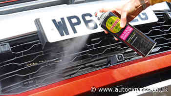 Best bumper shine 2020