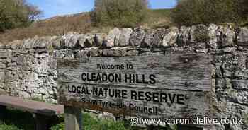 Manhunt continues one week after Whitburn assault