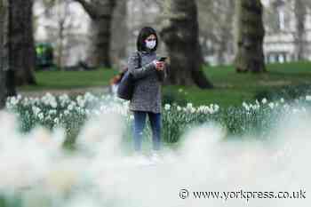 CORONAVIRUS: Are social distancing measures slowing down the pandemic in the UK?