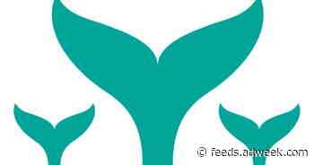 Here Are the Brands and Organizations Finalists for the 12th Annual Shorty Awards