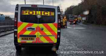 More than 30 firefighters tackle blaze at Wallsend recycling plant