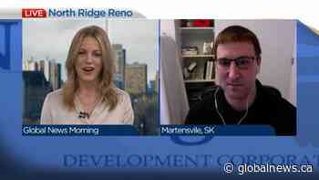 Home renovations while self isolating