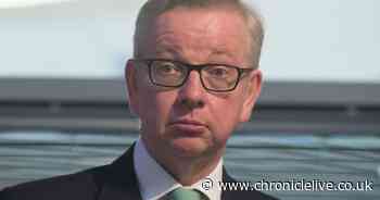 'Green shoots' in battle against coronavirus but we must keep up the fight