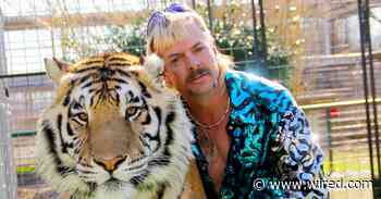 'Tiger King' Is Cruel and Appalling—Why Are We All Watching It?