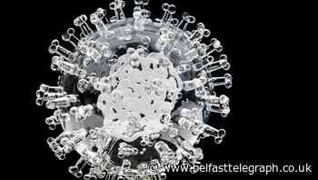 Coronavirus: Scientists warn of negative consequences of mass testing