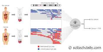 Blood Test Accurately Detects Over 50 Types of Cancer and Where It Originated, Often Before Any Symptoms
