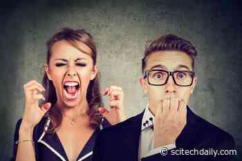 Mental Health and Psychological Impact of the Coronavirus / COVID-19 Pandemic