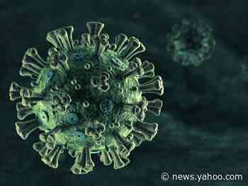 The coronavirus has thick spikes that seem to latch more easily onto human cells than other viruses, according to a 3D map of its structure