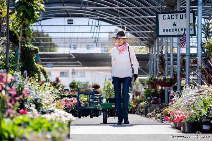 Coronavirus ‘victory gardens’ sprouting up across the region