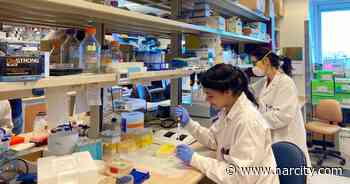 An Edmonton Lab Is Working On A Cheap Vaccine & They Could Start Testing This Year - Narcity