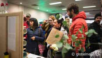 Edmonton’s Royal Bison Fair announces new online format due to COVID-19 - Global News