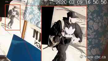 Edmonton police seek person of interest in McCauley homicide - CBC.ca