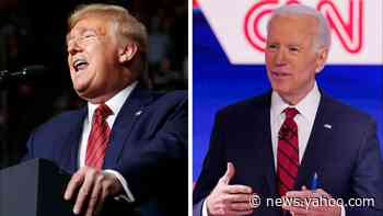 Fox News Poll: Biden leads Trump in head-to-head
