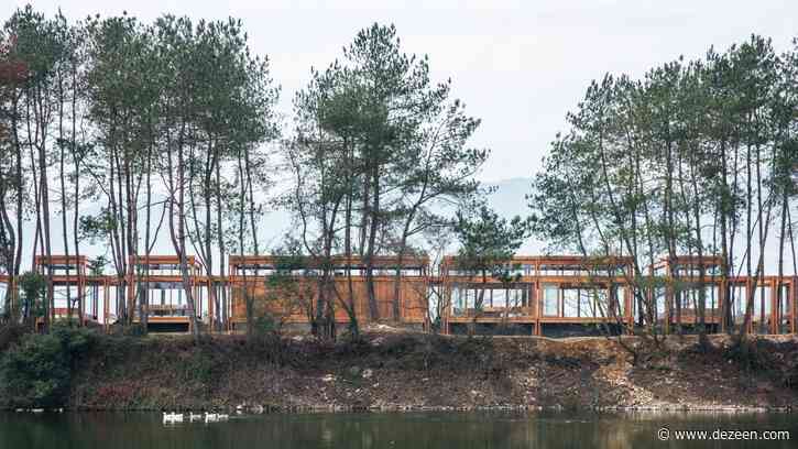 Riverside visitor centre in China built around existing trees