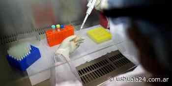 Detectaron 10 casos nuevos de coronavirus en Ushuaia y suman un total de 32 - Ushuaia 24