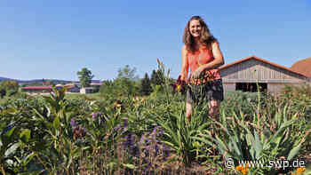 Coronavirus Wirtschaft: Wie Unternehmen aus der Region mit der Corona-Krise umgehen, Teil 2 - SWP