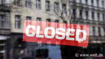 Corona-Krise: „Wirtschaft kann nicht über das nächste halbe Jahr brachliegen“ - WELT