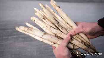 Coronavirus: 9 Lichtblicke und gute Nachrichten in der Corona-Krise - BILD