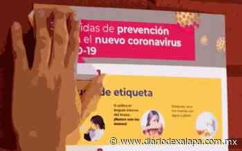 Aumenta a 266 los casos sospechosos de Covid-19 en Veracruz - Diario de Xalapa
