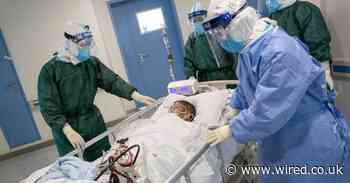 Why is coronavirus killing more men than women?