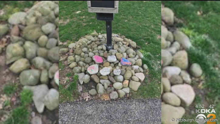 Spreading Hope: Hampton Township Neighborhood Paint Rocks With Positive Messages Amid Coronavirus Outbreak