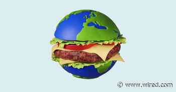 What Plant-Based Burgers Can Teach Us About Saving the Planet