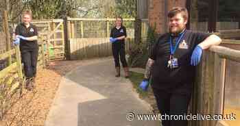 Zookeepers self-isolate in zoo to ensure animals are cared for amid lockdown