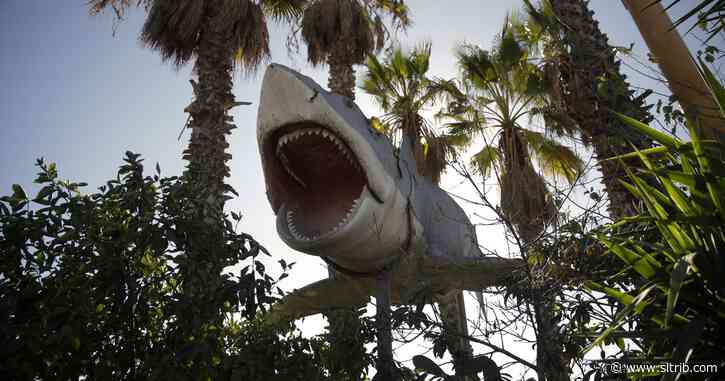 Letter: Moment of magical thinking is over