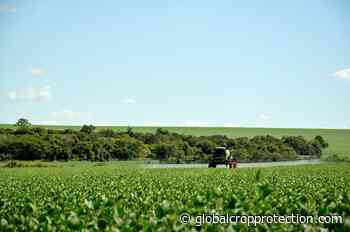 Herbicida Alite 27 da BASF recebe registro para soja nos Estados Unidos - Global Crop Protection