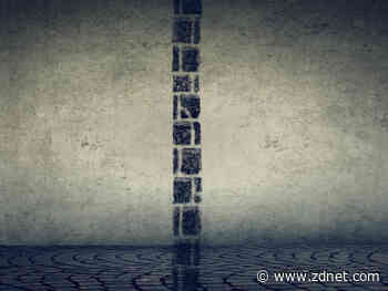 US tech giants face activist shareholders over gender pay disclosures