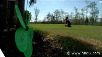 Teacher delivers hopeful chalk messages, pinwheels to students home from school - NBC2 News