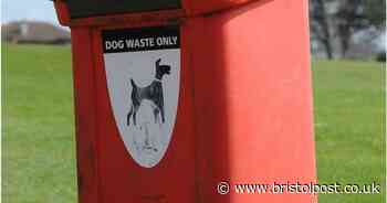 People asked to take their dog's poo home instead of using bins