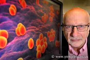 York expert Prof Colin Garner calls for coronavirus testing to be stepped up by using army of experts across the country