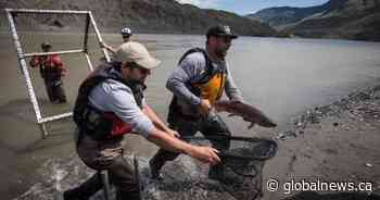 Fishing education program offered to Albertans amid COVID-19 pandemic
