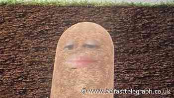 Boss spends online meeting as a potato after triggering camera filter
