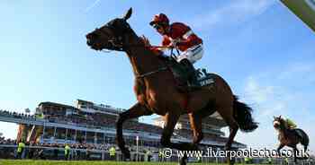Full list of runners and odds in 2020 Virtual Grand National
