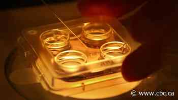 Pandemic stops fertility treatments across Atlantic Canada