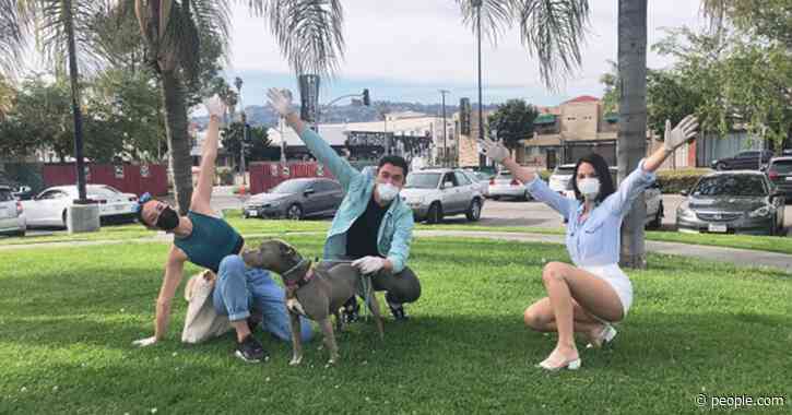 Olivia Munn Helps Henry Golding Find the Perfect Foster Dog While Social Distancing