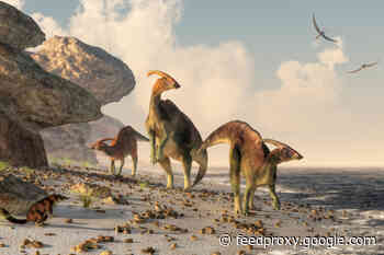 Did All Dinosaurs Live on Land?