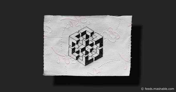 Toilet paper art: Coronavirus has brought us to this