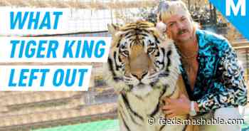 Here are 5 things Netflix's 'Tiger King' left out