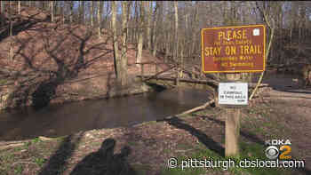 Woman Rescued At McConnells Mill State Park