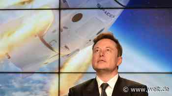 Die Angst des Elon Musk vor Zoom-Bombing