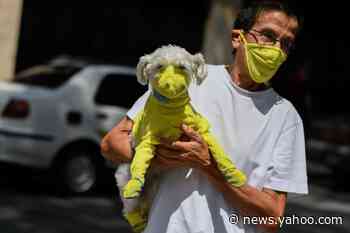 Can pets get the coronavirus?