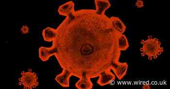 Can Universal Basic Income fix the coronavirus crisis?