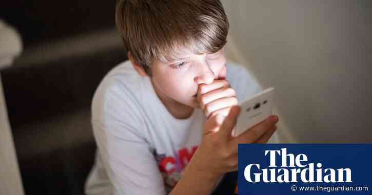 'I can't know the children are safe': social workers' fears over lockdown