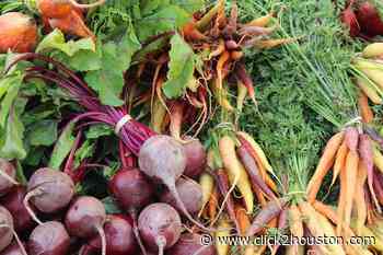 LIST: These Houston-area farmers markets are still open for business - KPRC Click2Houston