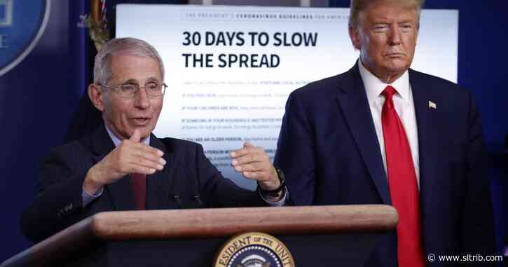 Letter: Fauci is not trying to undermine the president
